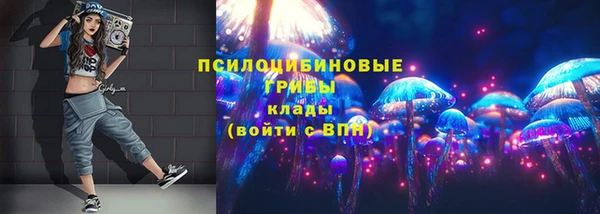 сатива Абаза