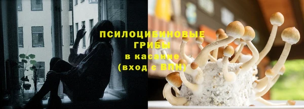 стафф Абдулино