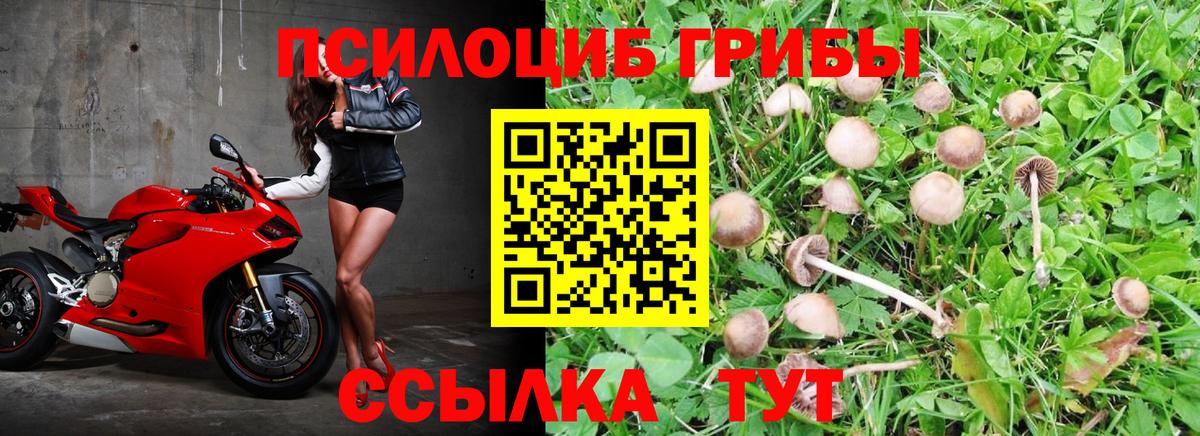 Галлюциногенные грибы MAGIC MUSHROOMS Лабытнанги