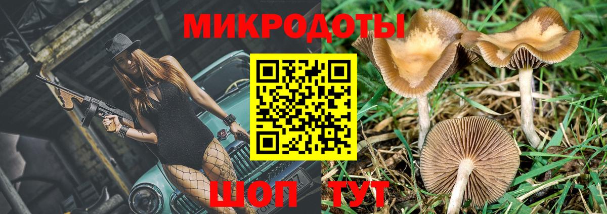 Лабытнанги  Псилоцибиновые грибы мухоморы  Вход с VPN 